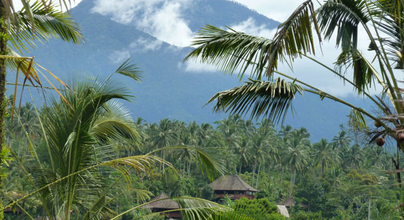 Bali Eco Stay Indonesia