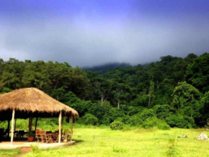Udzungwa Forest Camp-Tanzania