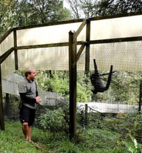 Paul Reynolds who works with Wild futures in preserving primates