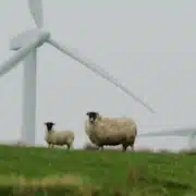 Windmill Energy