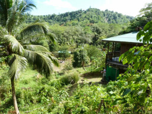 3 Rivers Eco Lodge – Dominica