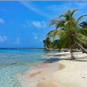 Central America Ecotourism - Panama Sustainable Tourism Illustration