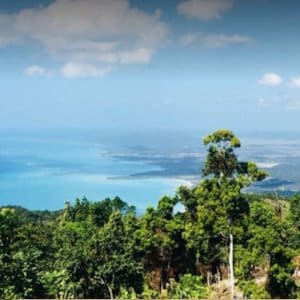 Jamaica Eco Lodges Mels Botancial Retreat View