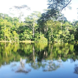 Australia and Oceania Ecotourism | Fiji