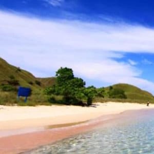 Indonesian Eco Lodges Flores Homestay Beach