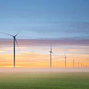 eco guidelines windmills