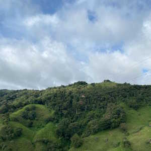 Costa Rica Monteverde Cloud forest