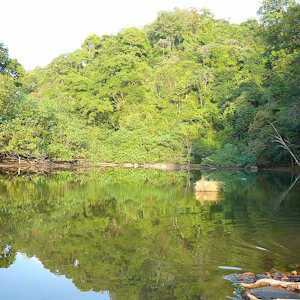 Panama Ecolodges - Destinations- Darien