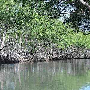 Dominican Republic Destinations Los Haitises National Park
