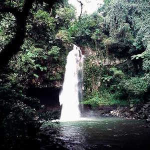 Fiji Destinations Taveuni Waterfall