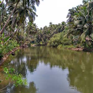 Fiji Destinations Tejaswini River
