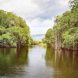 Jamaica Destinations Black River