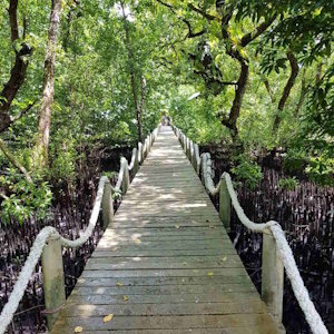 Micronesia Eco Lodges Pacific Treelodge Resort