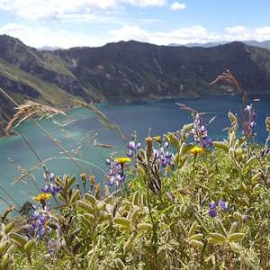 South America Ecuador - destinations Quilotea