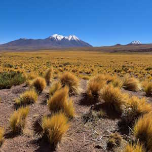South America Landscape Andes Chile