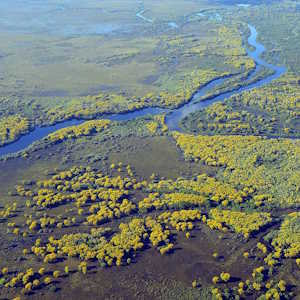 Brazil Destinations Pantanal Wetlands