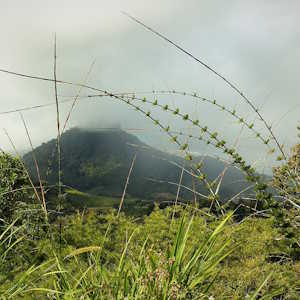 Panama Destinations- Volcan Baru