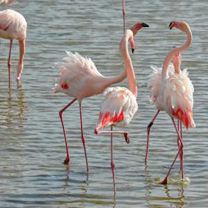 European Ecotourism Destination France