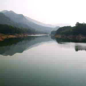 India Destinations Periyar Munnar Kerala