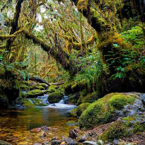 Indonesia Destinations Gunung Leuser National Park