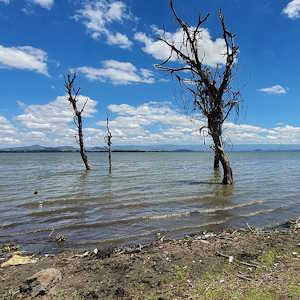 Kenya Destinations Lake Naivasha