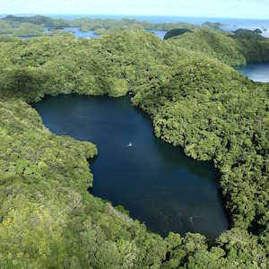 Micronesia Destinations Jellyfish Lake