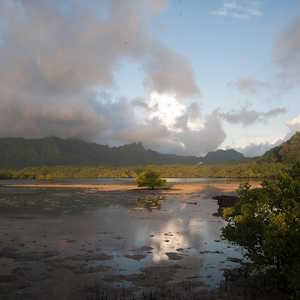 Micronesia Destinations Kosrae