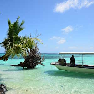 Micronesia Destinations Palau