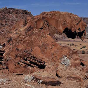 Namibia Destination Lions Mouth Twyfelfontein