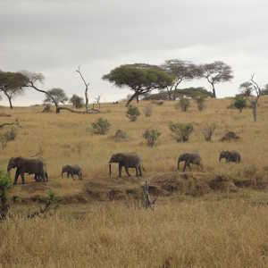 Rwanda Destinations Akagera National Park