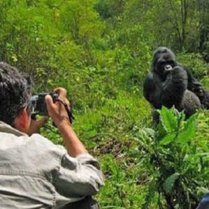 SITA tourism foundation Gorilla Trekking
