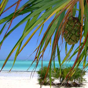 Tanzania destinations Zanzibar