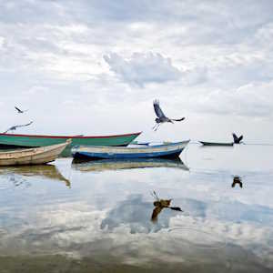 Uganda Destinations Lake Albert