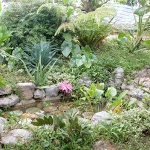 China Eco Lodges Yourantai Lodging
