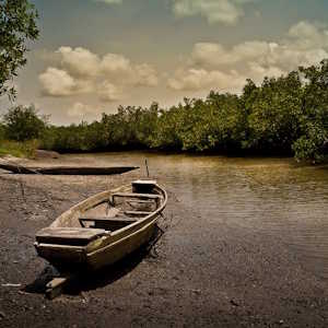 Destination The Gambia River