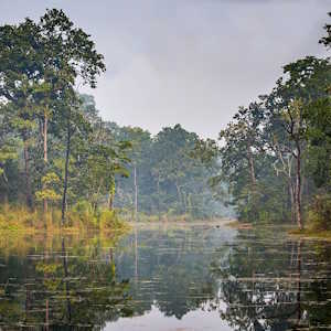 Nepal Destinations Chitwan