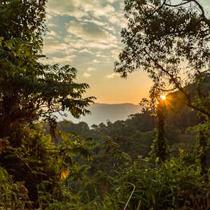 Rwanda Destinations Nyungwe National Park