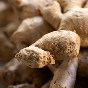 Thailand flora Ginger